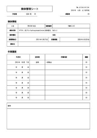 レポート出力イメージ