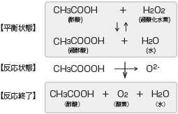 作用機序