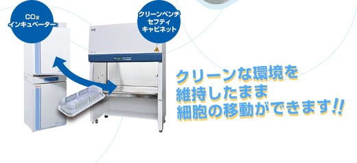 クリーンな環境を維持したまま細胞の移動ができます