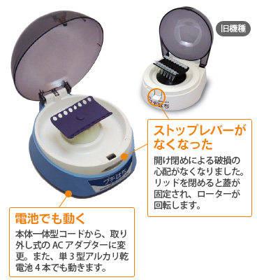 プチはち