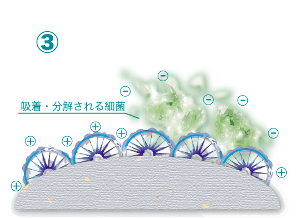 byotrol3